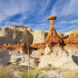 Toadstool Paria Rimrocks with yucca plant, near Kanab, Grand Staircase-Escalante National Monument, Utah, United States of America, North America