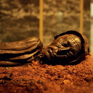 Tollund man found in a nearby peat bog in the Silkeborg museum in central Jutland
