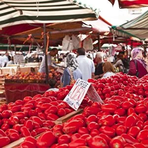 Tomatoes on sale at the open air market of Piazza della Repubblica, Turin, Piedmont, Italy, Europe
