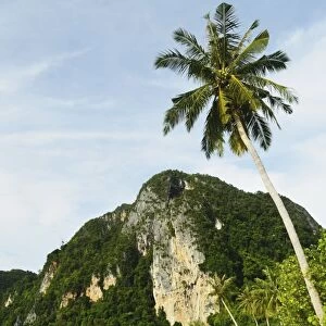 Ton Sai Bay, Ko Phi Phi, Krabi Province, Thailand, Southeast Asia, Asia
