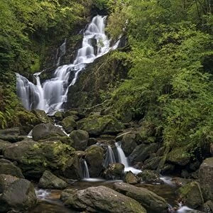 Torc Waterfall, County Kerry, Munster, Republic of Ireland, Europe
