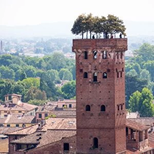 Torre Guinigi as seen from Torre delle Ore, Lucca, Tuscany, Italy, Europe