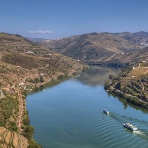 Tourist boats, vineyards and the Douro River, Alto Douro Wine Valley, UNESCO World Heritage Site