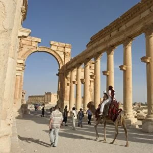 Tourist camel ride