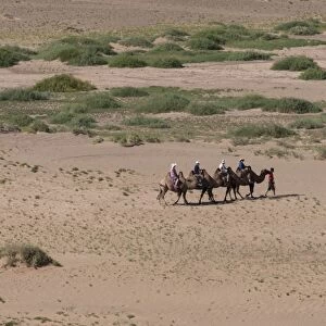 Tourists on Bactrian camel train cross sandy landscape, elevated view in summer