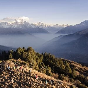 Tourists gather on Poon Hill to watch the sunrise over the Annapurna Himal, with Dhaulagiri, 8167m, Dhampus Peak, 6012m, and Tukuche Peak, 6920m and Nilgiri, 7061m, visible in the background, Annapurna Conservation Area, Nepal, Himalayas, Asia