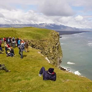 Tourists looking the colonies of puffins nests in the cliffs of Vik, Iceland
