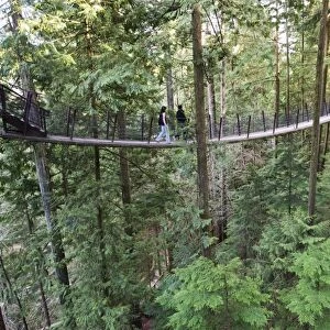 Tourists on a treetop walkway in Capilano Suspension Bridge and Park, Vancouver