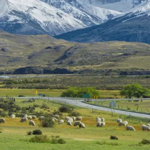 The Three Towers, Torres del Paine National Park, Chilean Patagonia, Chile, South America