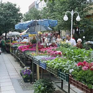 Town market