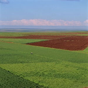 Tractor and fields near Diyarbakir in Kurdistan