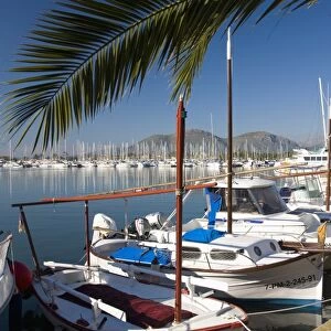 Traditional boats moored in the harbour, Port d Alcudia, Mallorca, Balearic Islands