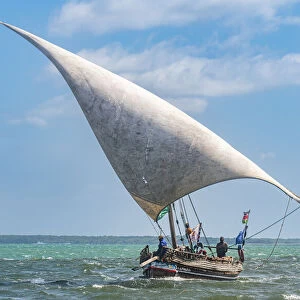Traditional dhow sailing in the Indian Ocean, island of Lamu, Kenya, East Africa, Africa