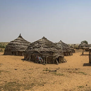 Traditional Hausa village, southern Niger, West Africa, Africa