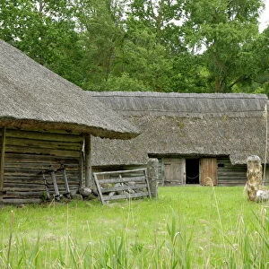 Traditional Lithuanian farmsteads from the Zemaitija region
