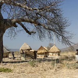 Traditional settlement and large baobab tree near Lake Kariba, Zimbabwe, Africa