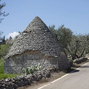 Traditional trullos (trulli) in the countryside near Alberobello, Puglia, Italy, Europe