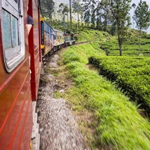 Train journey through tea plantations, Haputale, Sri Lanka Hill Country, Nuwara Eliya District, Sri Lanka, Asia