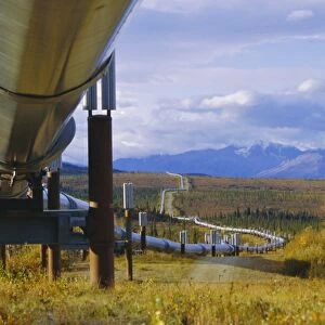 Trans Alaska oil pipeline across taiga through Alaskan