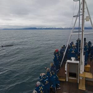 Trawler with tourists watching a whale, Husavik, Iceland, Polar Regions