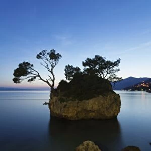 Tree on a rock in the sea, Brela, Makarska Riviera, Dalmatia, Croatia, Europe