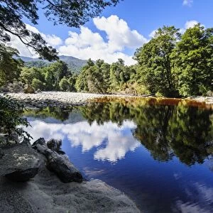 Trees reflecting in the water, Mirror Tarn, Oparara Basin, Karamea, West Coast, South Island, New Zealand, Pacific