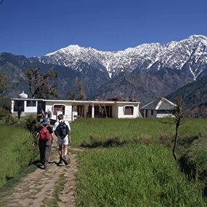 Trekkers, Dhaula Dhar range, western Himalayas, India, Asia