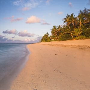 Tropical beach with palm trees at sunrise, Rarotonga, Cook Islands, South Pacific
