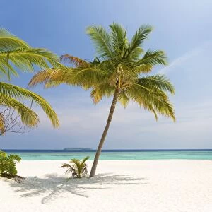 Tropical beach scene, Coco Palm Resort, Dhuni Kolhu, Baa Atoll, Republic of Maldives