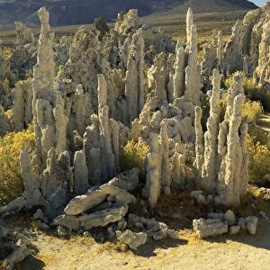 Tufas of calcium carbonate, Mono Lake Tufa State Reserve, California, United States of America