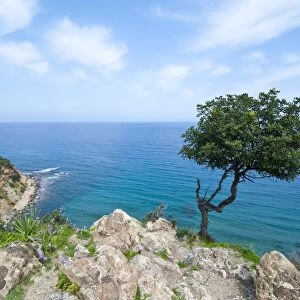 The turquoise waters on the Akamas peninsula, Cyprus, Mediterranean, Europe