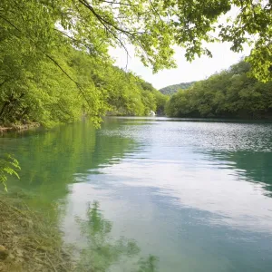 The turquoise waters of Milanovac Lake, Plitvice Lakes National Park (Plitvicka Jezera)