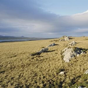 Typical landscape, East Falklands, Falkland Islands, South Atlantic