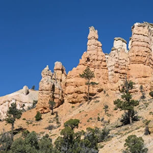 Typical rock hoodoos towering above the Mossy Cave Trail, Water Canyon