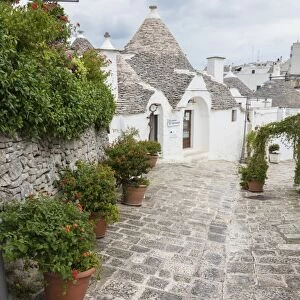 The typical Trulli built with dry stone with a conical roof, Alberobello, UNESCO