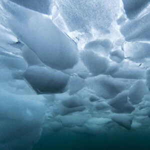 Underwater view of dense brash ice at Cuverville Island, Ererra Channel, Antarctica