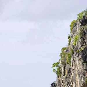 Unusual limestone rock formations near Corong