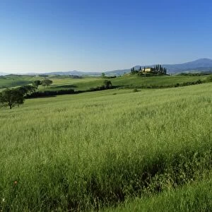 Val d Orcia (Orcia Valley)
