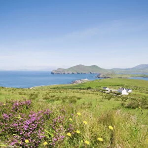 Valentia Island, Ring of Kerry, County Kerry, Munster, Republic of Ireland, Europe
