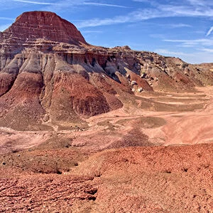 The valley floor of Red Forest at Petrified Forest National Park, Arizona, United States of America, North America