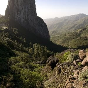 Valley, Garajonay National Park, UNESCO World Heritage Site, La Gomera Canary Islands