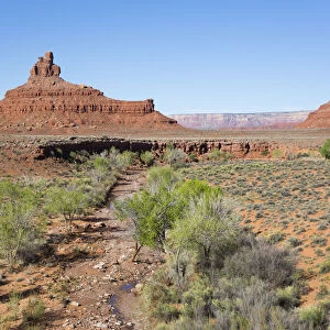 Valley of the Gods, Bears Ears National Monument, Utah, United States of America