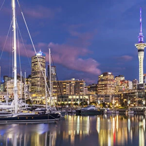 Viaduct Harbour waterfront area and Auckland Marina at night, Auckland skyline, Sky Tower