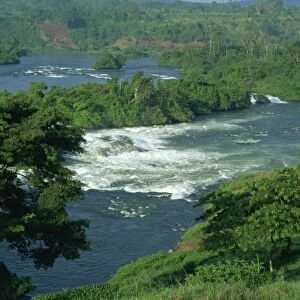 Victoria Nile River through rainforest, Jinja Falls, near Kampala, Uganda