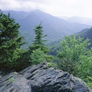 View from the Alum Cave Bluffs trail in Great Smoky