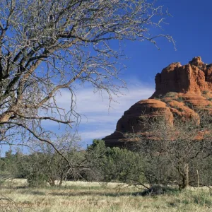 View to Bell Rock