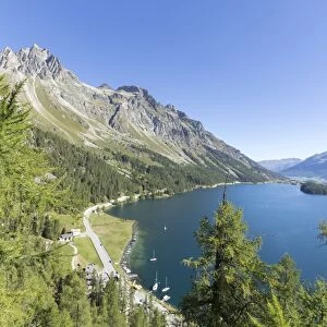 View of the blue Lake Sils from Plaun da Lej, Canton of Graubunden, Engadine, Switzerland