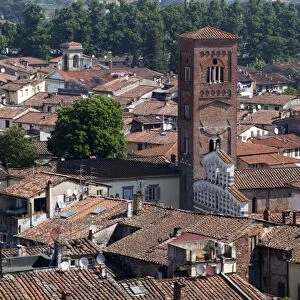 View of the Cathedral, Lucca, Tuscany, Italy, Europe