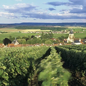 View over Champagne vineyards to the village of Villedommange (Ville Dommange