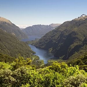 View over Deep Cove, Doubtful Sound, Fiordland National Park, UNESCO World Heritage Site, South Island, New Zealand, Pacific
